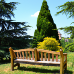 목포 지역 케어 업종 위치 확인 시 참고하는 기준 - 목포 지역 케어 업종 위치 확인을 위한 필수 기준 안내