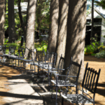 대전오피 이용정보를 찾을 때 사람들이 비교하는 업체 특징과 선택 기준 분석 - 대전오피 선택 시 고려해야 할 업체 특징과 비교 기준 완벽 분석