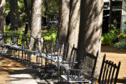 마사지 및 건강